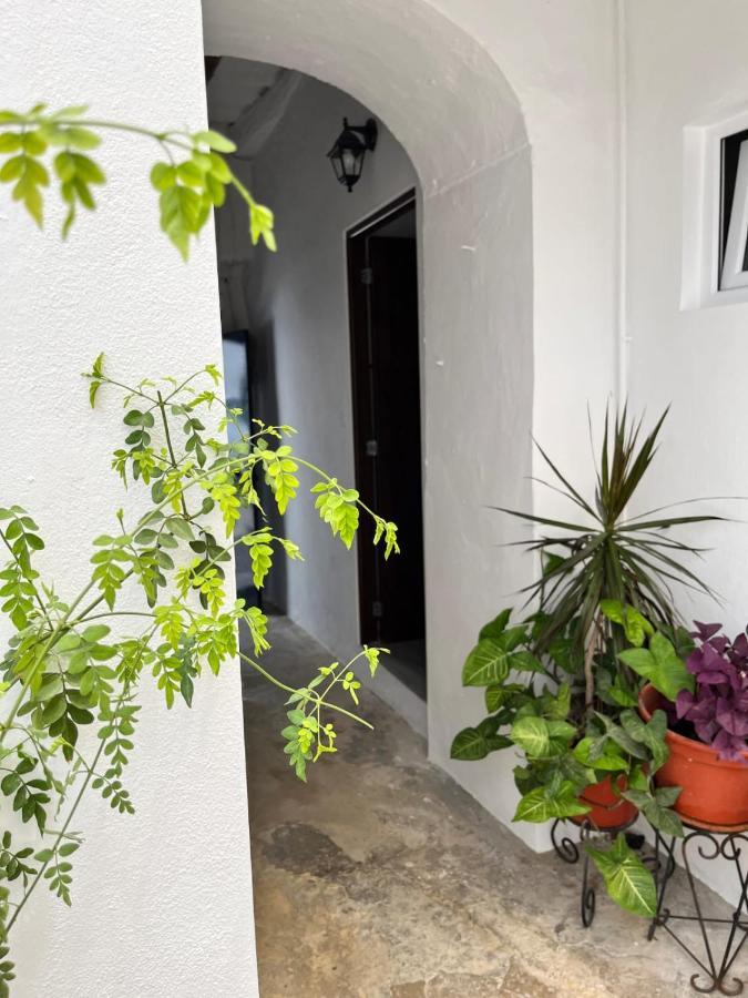 Apartamento 29 Аркос де ла Фронтера Екстериор снимка